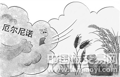 今年有可能會發生厄爾尼諾事件