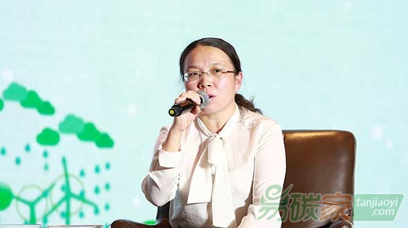 國網(wǎng)能源研究院企業(yè)戰(zhàn)略研究所所長馬莉