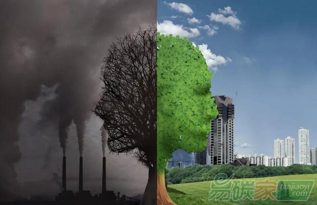 國家林業和草原局關于促進林草產業高質量發展的指導意見【林改發〔2019〕14號】