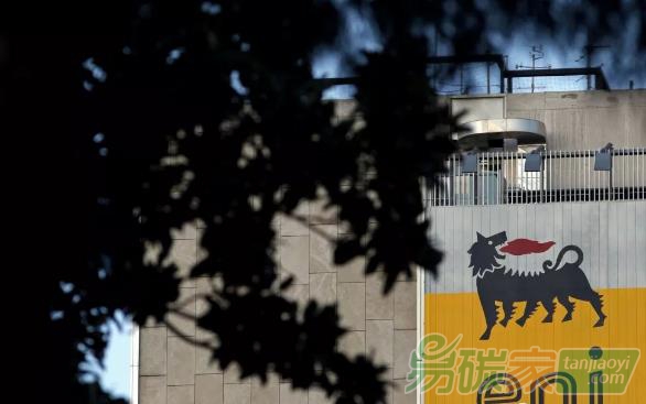 全球首個油企主導巨型造林項目問世